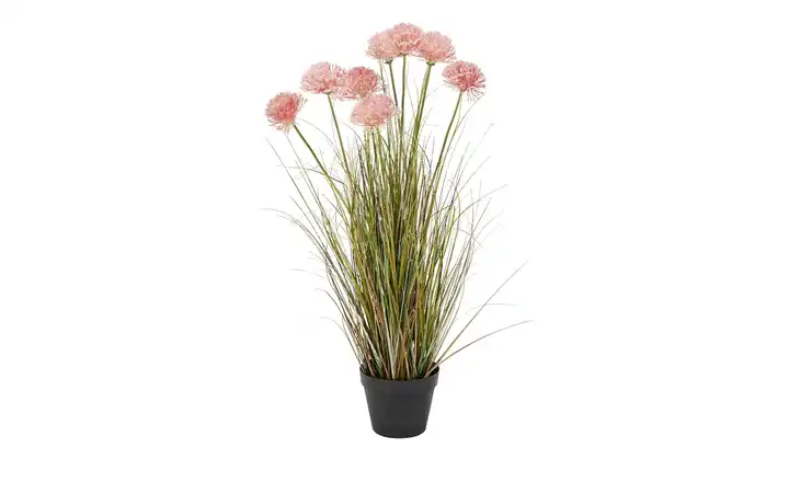  Grasbüschel mit Blüten 