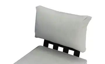 Rückenkissen Element  Fly Zebra